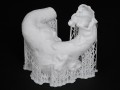 Prusament Resin Flex80 Transparent Clear 1kg  Original Prusa 3D printers  directly from Josef Prusa